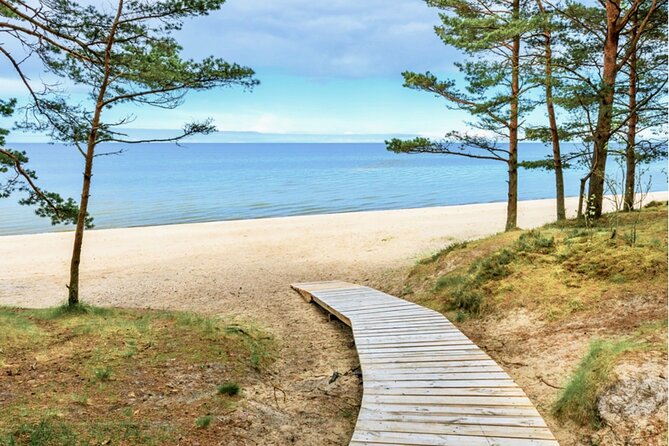 Best of Latvia, Jurmala, Kemeri N Park, Kuldiga City, Food & More - Two hours at Kemeri National Park