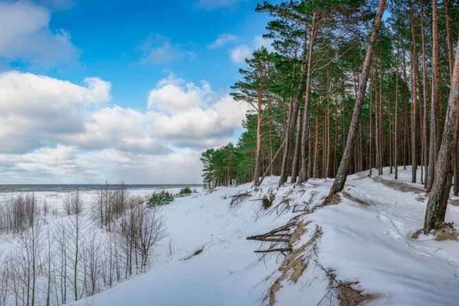 Best of Latvia, Jurmala, Kemeri N Park, Kuldiga City, Food & More - Passing Sabile and the Latvian countryside
