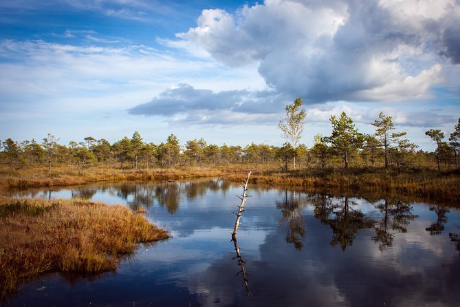 Bogs and Resorts in Jūrmala - Key points to know before booking