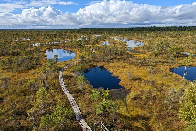 Bogs and Resorts in Jūrmala - Lunch and Latvian food along the route