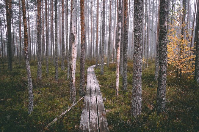 Bogs and Resorts in Jūrmala - Jomas Street and the resort-town finish