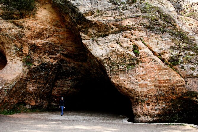 Day trip to Gauja National Park: animals, castles and a cave - Food, timing, and what to bring
