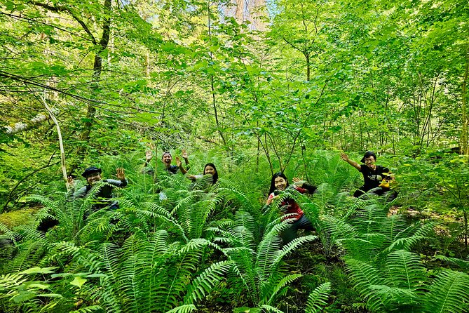 Discover Best Of Gauja National Park In One Day - A Quiet Stop at Krimulda Manor