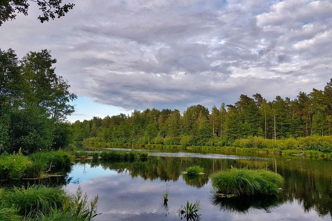 Four Natural Ecosystems In One Hike - Why Nature Park Piejūra makes a good escape from Riga