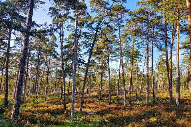 Four Natural Ecosystems In One Hike - Finding the cascade of wild coastal lakes