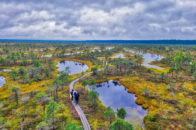 From Riga: Best of Kemeri National Park In One Day - Key points to know before you book