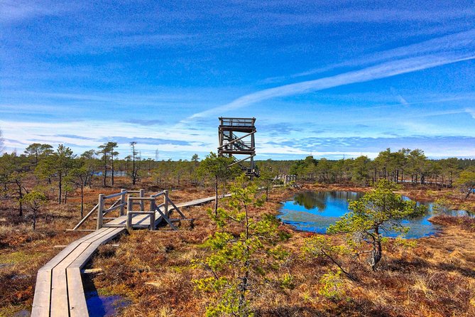 From Riga: Best of Kemeri National Park In One Day - Why Ķemeri makes a strong escape from Riga