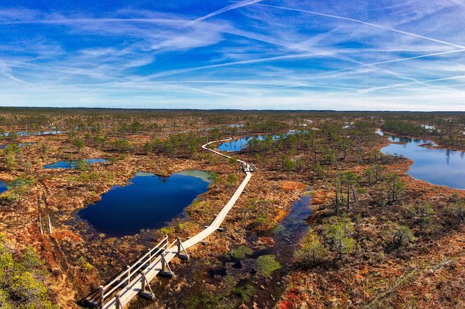 From Riga: Best of Kemeri National Park In One Day - Lake Kaņieris is the bird-watching stop