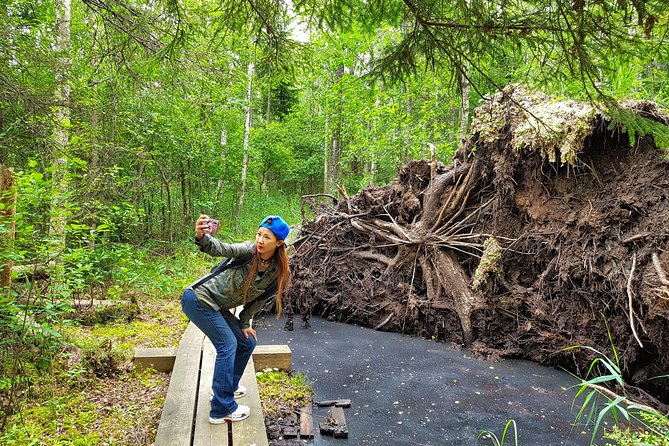 From Riga: Best of Kemeri National Park In One Day - Ragaciems brings in the Gulf of Riga