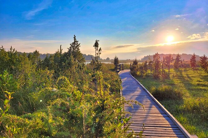 From Riga: Best of Kemeri National Park In One Day - Local snacks make the day feel more Latvian