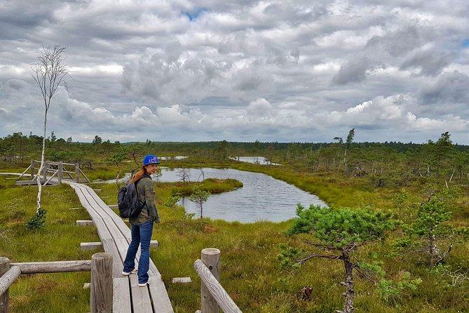 From Riga: Best of Kemeri National Park In One Day - Transport and group size are part of the value
