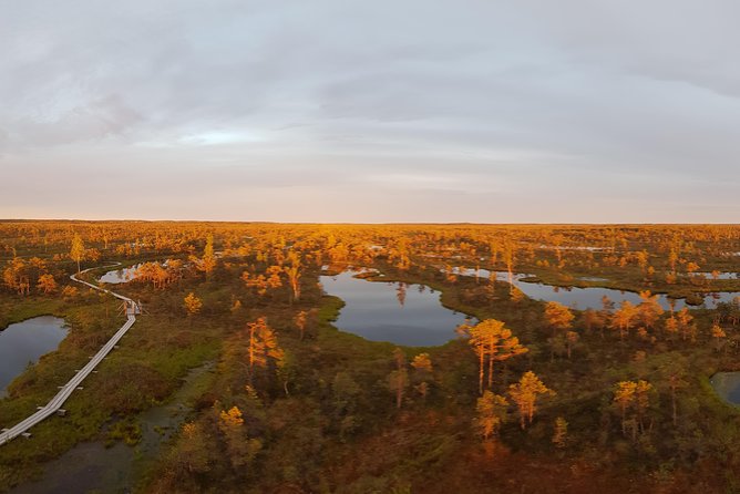From Riga: Best of Kemeri National Park In One Day - Who will get the most from this outing
