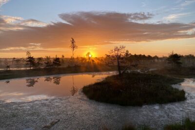 Kemeri Bog Boardwalk and Jurmala Seaside