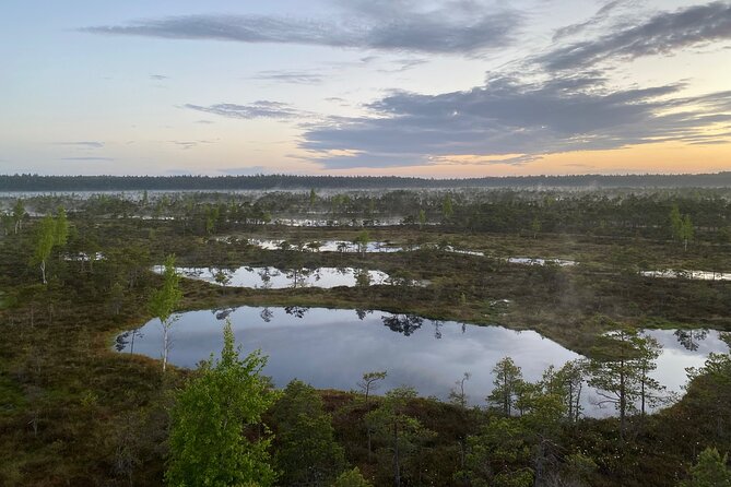 From Riga: Kemeri Bog Boardwalk and Jurmala Seaside - The guide is a major part of the value