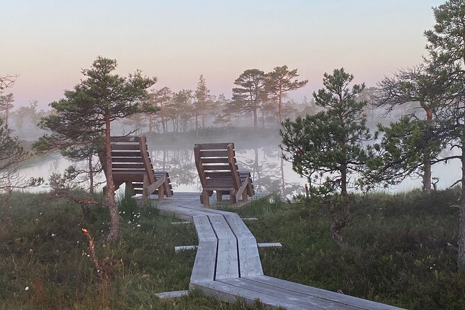 From Riga: Kemeri Bog Boardwalk and Jurmala Seaside - Is $114.28 a fair price?