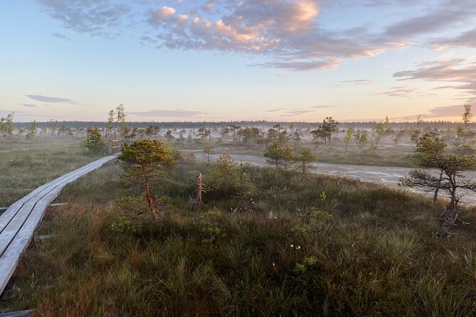 From Riga: Kemeri Bog Boardwalk and Jurmala Seaside - What to bring and how to plan the day