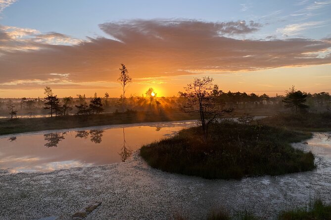 From Riga: Kemeri Bog Boardwalk and Jurmala Seaside - Walking the Ķemeri Bog Boardwalk for 90 minutes