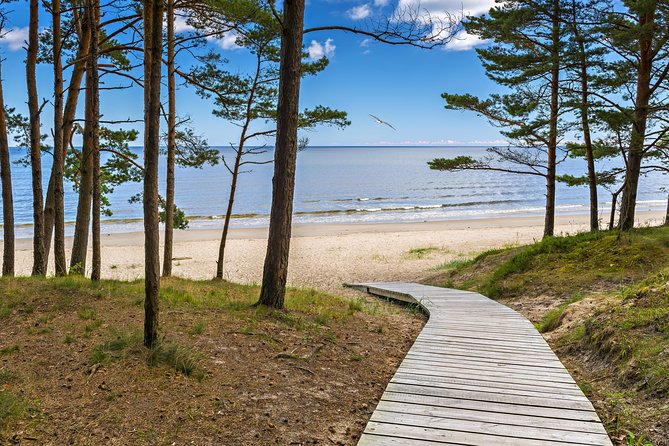 Full-Day Private Trip to Jurmala, Fisherman Villages and Nature Trails from Riga - The 38-meter Dzintaru observation tower