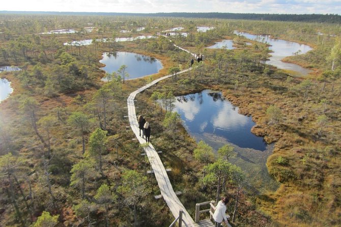 Full-Day Private Trip to Jurmala, Fisherman Villages and Nature Trails from Riga - What the private vehicle and guide add