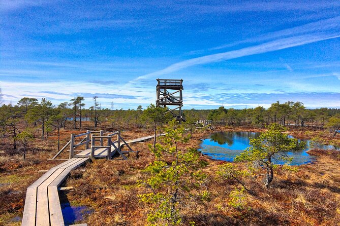 Great Ķemeri Bog and Swamp Forest Hiking Adventure - Is $156.21 a fair price?