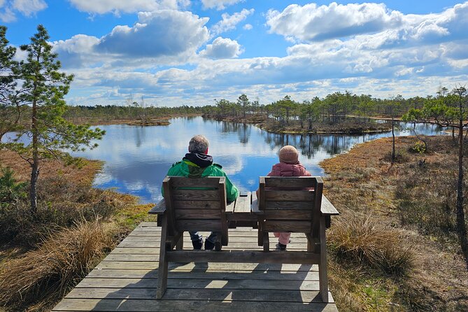Great Ķemeri Bog and Swamp Forest Hiking Adventure - Who should book this nature day?