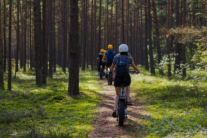 Guided Ebike Tour on Forest Roads and Trails Near Riga - Riding through pine forest and sandy trails