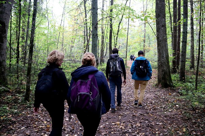 Hike In Gauja National Park - Up And Down The Switzerland Of Latvia - What You May See Along the Way