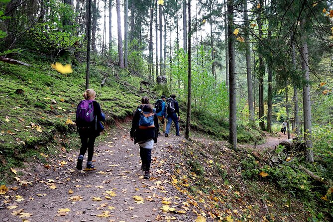 Hiking Adventure in Gauja National Park - 7 Days - Cesis combines a candlelit castle with a river trail