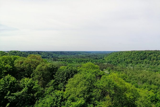 Hiking in Gauja National Park - Gutmanis Cave, a famous natural stop