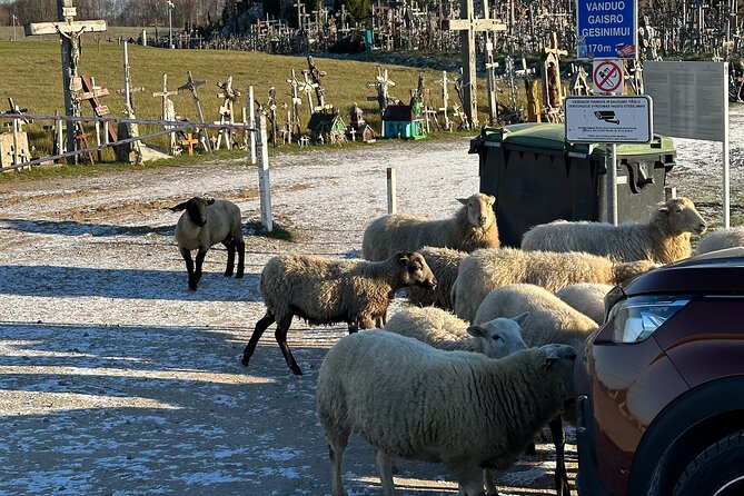 Hill of Crosses and Jelgava Gems Tour - 2 countries in 1 day - The return through Jelgava