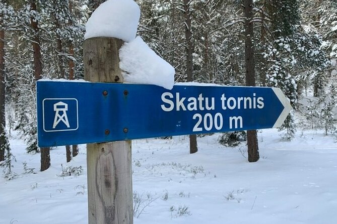 Husky dog sled/bike kart ride in Latvia ~ 3h group tour from Riga - Leaving Riga for Ogres Zilie Kalni