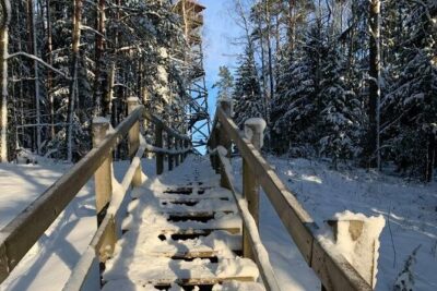 Husky dog sled/bike kart ride in Latvia ~ 3h group tour from Riga