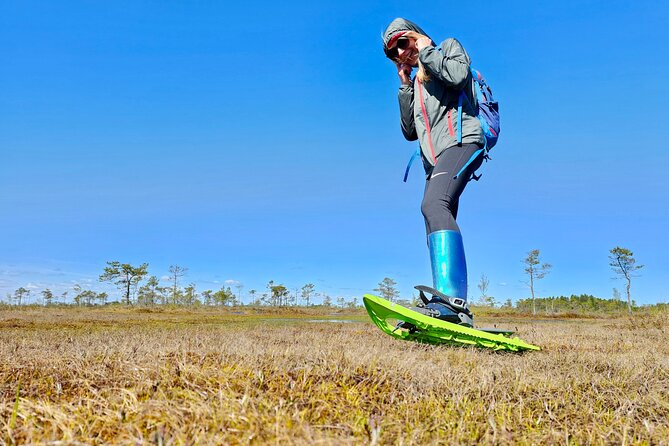Ķemeri Bogs Adventure: Explore Wetlands In Bog Shoes - Key points to know before you book