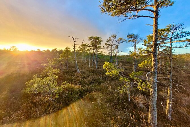 Ķemeri Bogs Adventure: Explore Wetlands In Bog Shoes - Bog shoes, rubber boots, and the comfort question