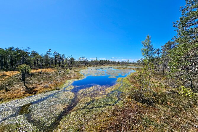 Ķemeri Bogs Adventure: Explore Wetlands In Bog Shoes - Is $144.60 a fair price?