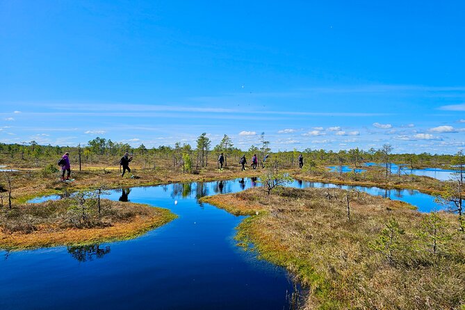 Ķemeri Bogs Adventure: Explore Wetlands In Bog Shoes - What the five-hour schedule actually includes