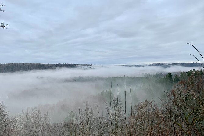 Private Day Tour to Sigulda, Turaida Castle and Soviet Bunker - Gauja National Park: caves, cliffs, and a short hike