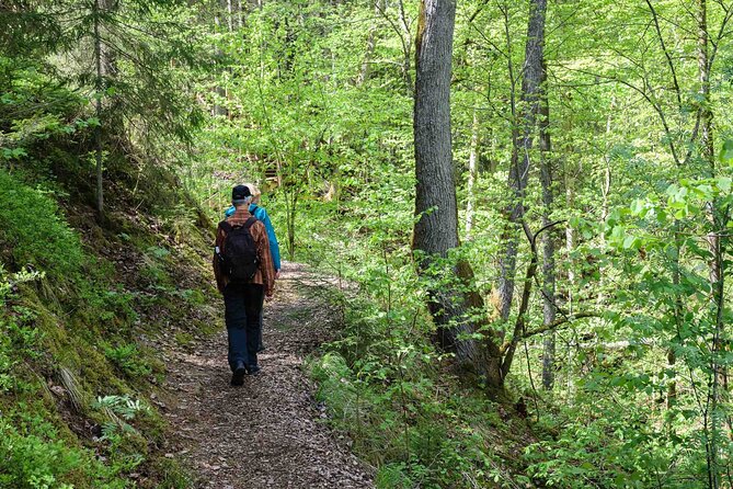 Private Full-Day Hiking Tour in Sigulda and Gauja National Park - Quick points to know before booking