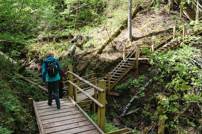 Private Full-Day Hiking Tour in Sigulda and Gauja National Park - A picnic break keeps the day flexible