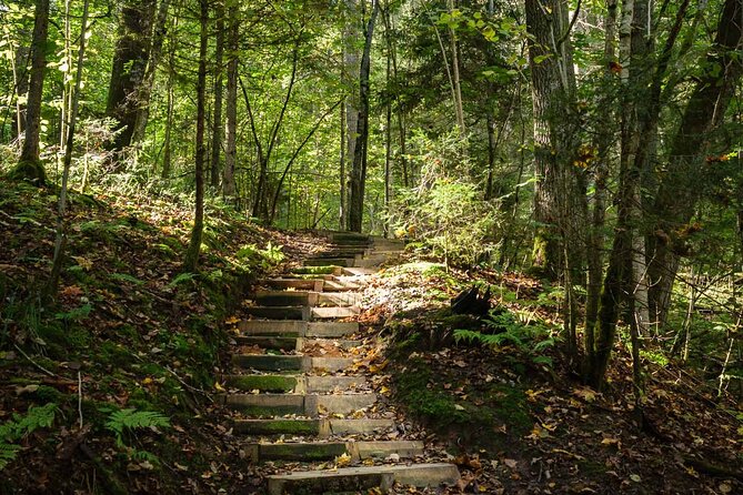 Private Full-Day Hiking Tour in Sigulda and Gauja National Park - How the day is likely to feel from 9:00 a.m. onward
