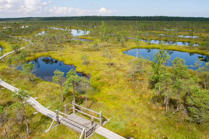 Private Full-Day Trip to Jurmala and Great Kemeri Bog Boardwalk - Is $355.21 good value for three people?