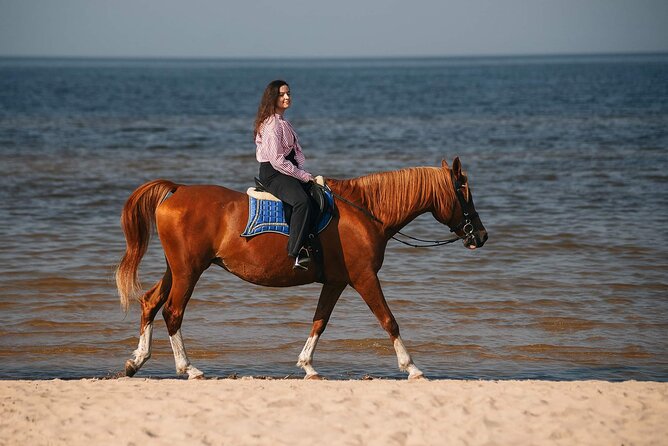 Private Horse Riding on the Beach in Riga - Key points to know before you book