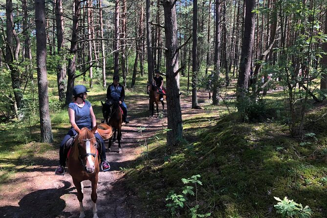 Private Horse Riding on the Beach in Riga - Reaching the Baltic beach