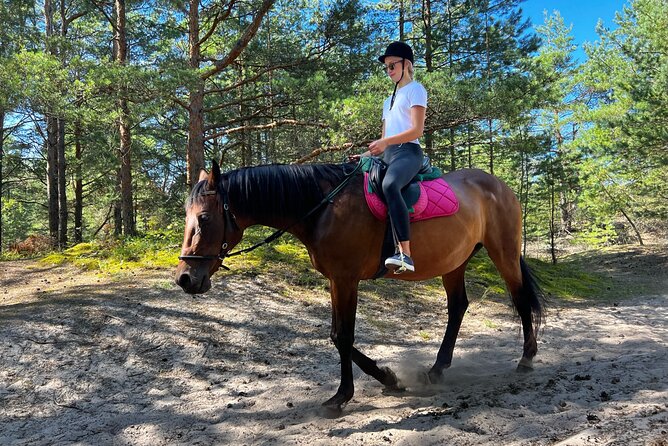 Private Horse Riding on the Beach in Riga - What experienced riders should ask