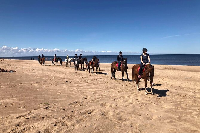 Private Horse Riding on the Beach in Riga - Forest paths and Latvian sand dunes