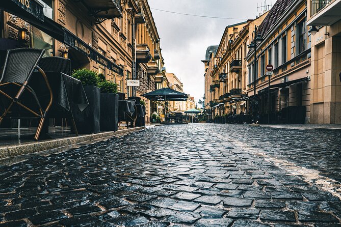 Private Riga Tallin Transfer and Tour - The driver-guide can shape the day