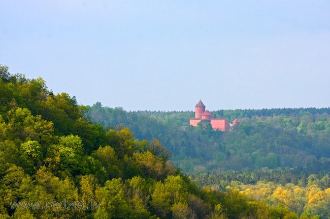Riga to Tallinn - Sightseeing transfer - Why this Riga to Tallinn transfer can beat a bus
