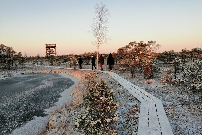 Sunrise at Kemeri National park + Jurmala - Why this early morning trip works