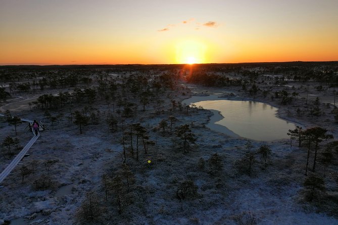 Sunrise at Kemeri National park + Jurmala - Walking the Kemeri bog boardwalk