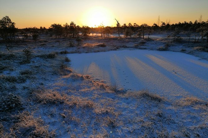 Sunrise at Kemeri National park + Jurmala - The Baltic Sea stop in summer